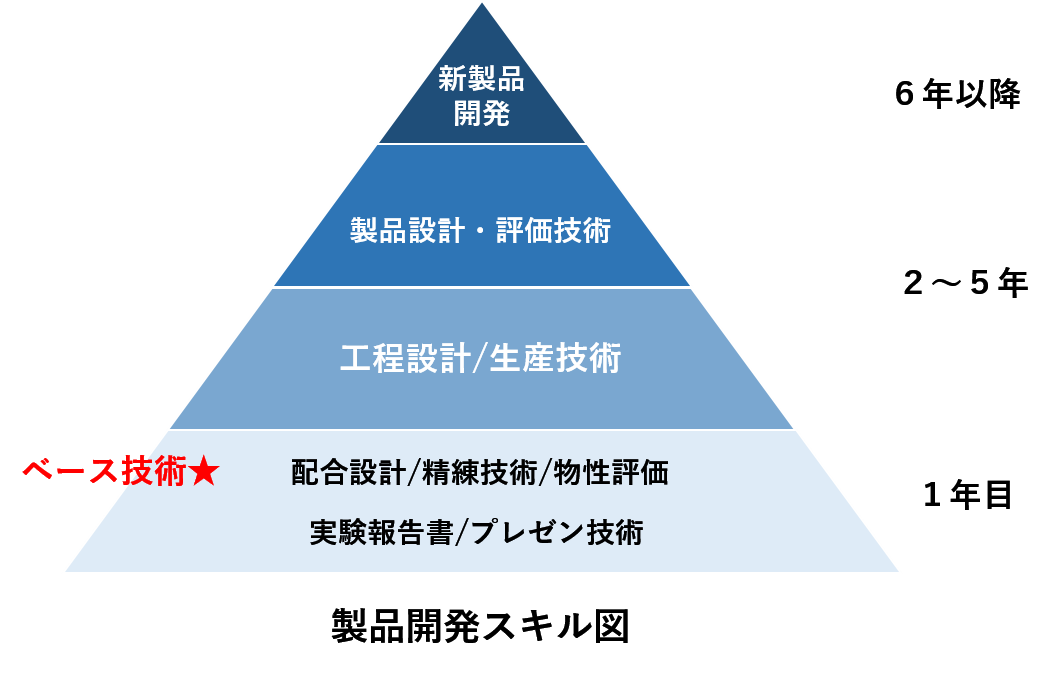 目地ゴム化成の教育階層図